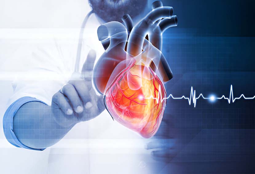 Uncovering Cardiovascular Disease: What Puts You at Risk?